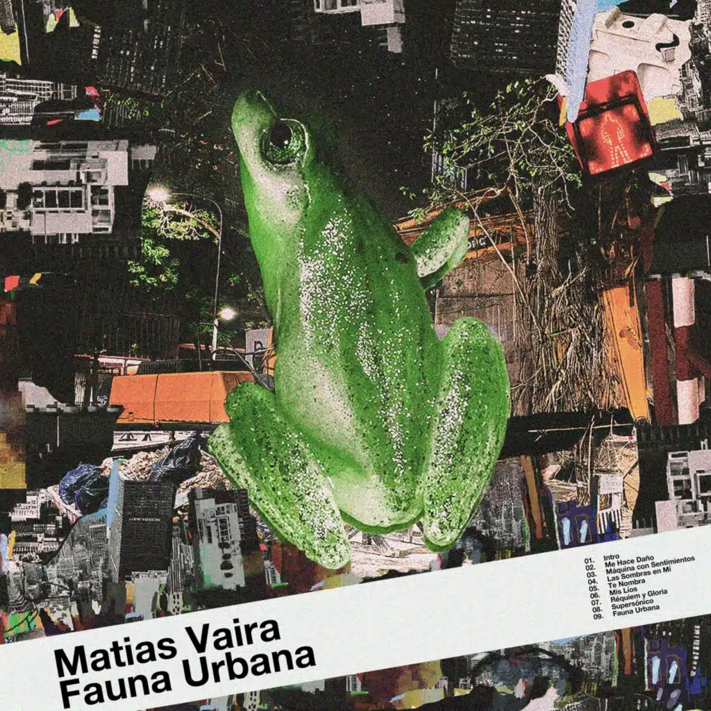 FAUNA URBANA
