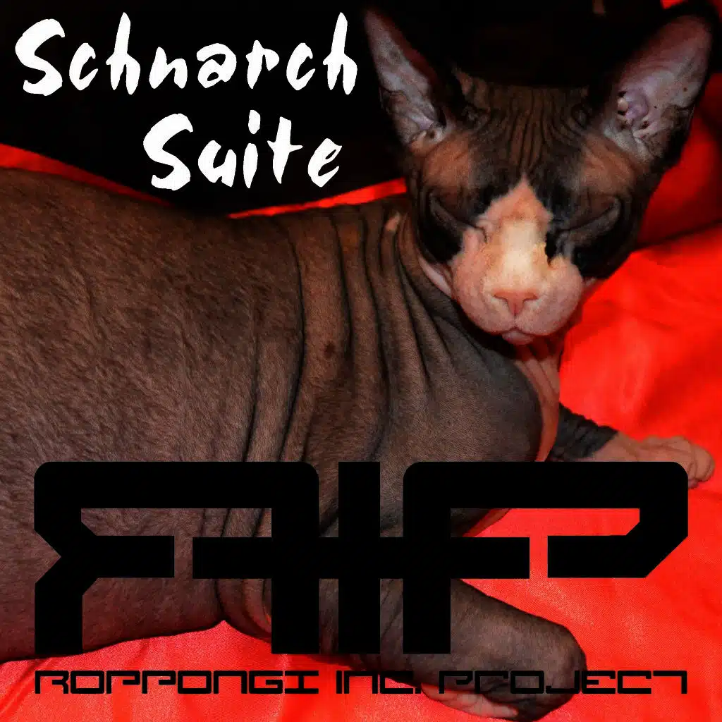 Moskau Leipzig (Destructed By Detuned Destruction)