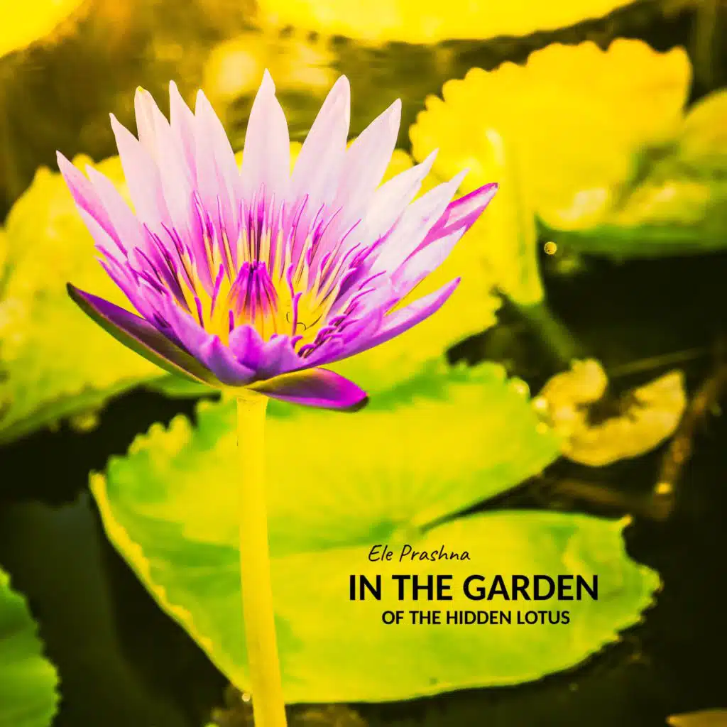 In the Garden of the Hidden Lotus