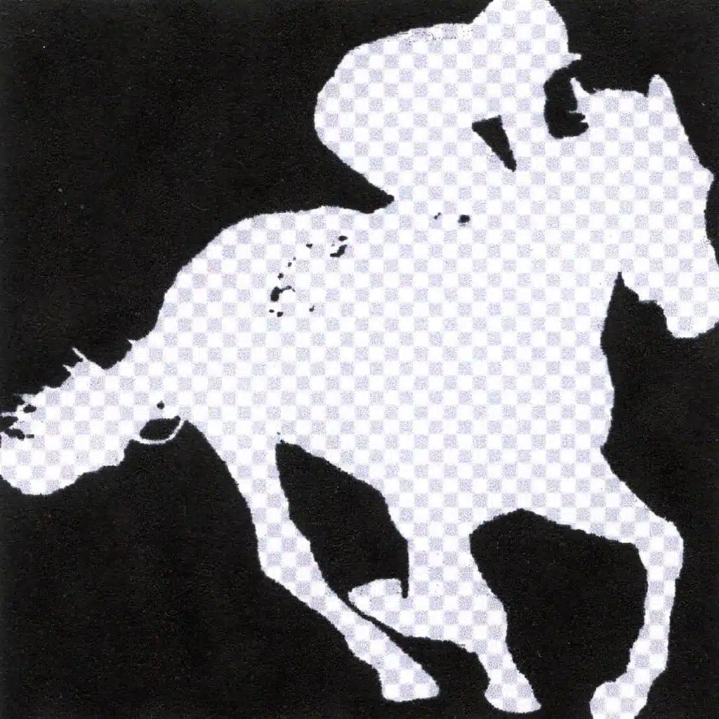 SEMPRE I PER INSTINT