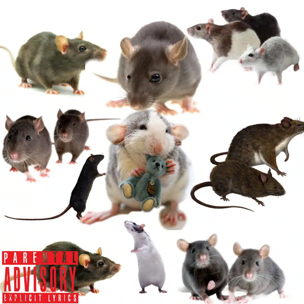 Rat Niggaz