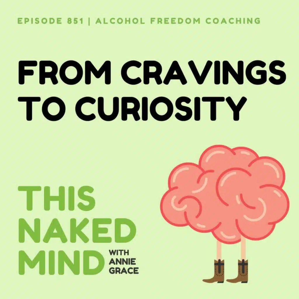 From Cravings to Curiosity | Alcohol Freedom Coaching | E851
