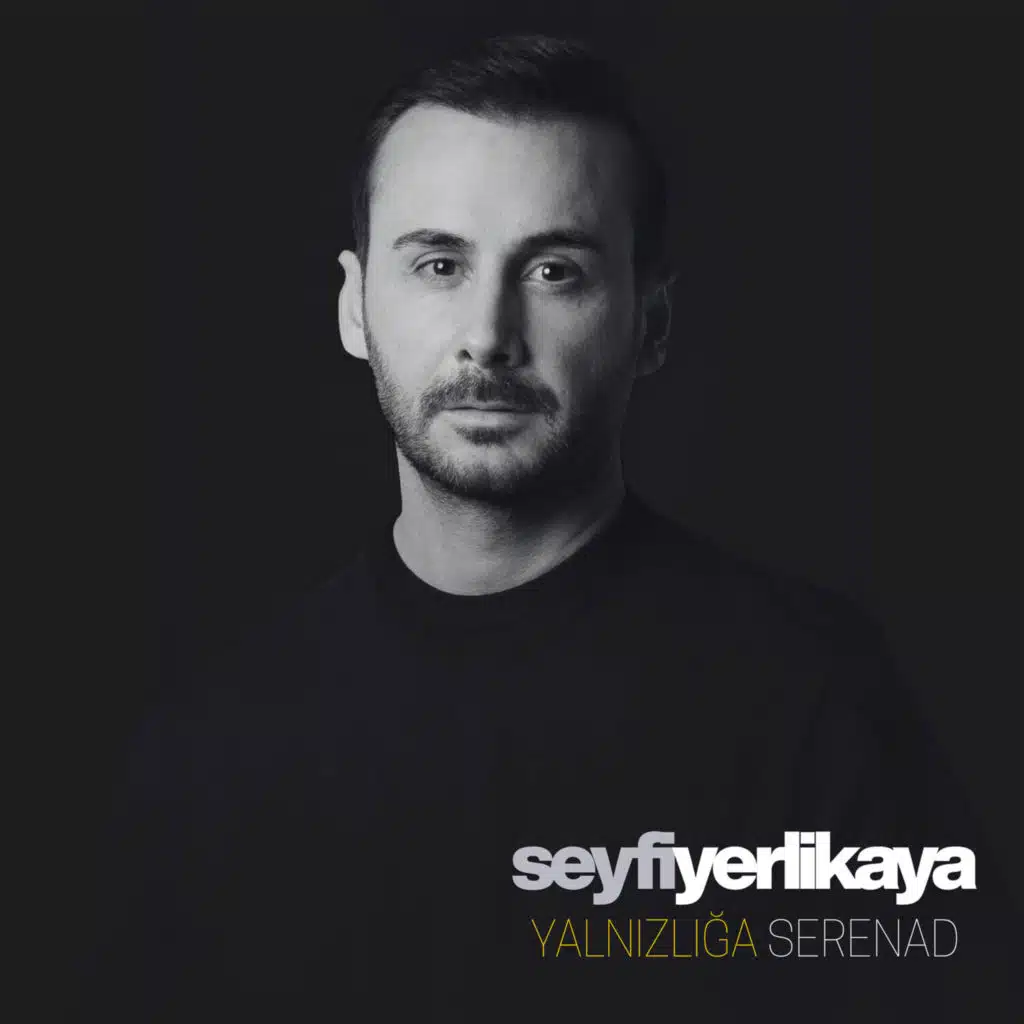 Seyfi Yerlikaya
