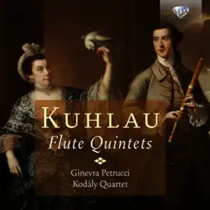 Flute Quintet in D Major, Op. 51 No. 1: II. Menuetto. Allegro con spirito