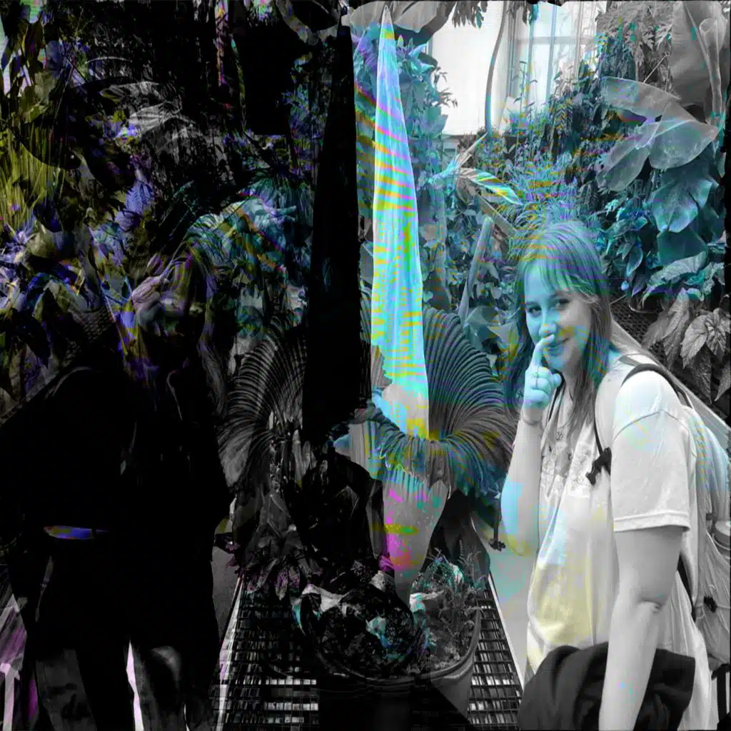 свиристели