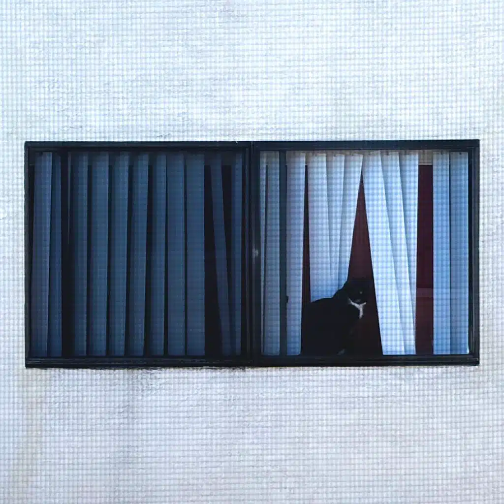 Sega Bodega & Vashti Bunyan