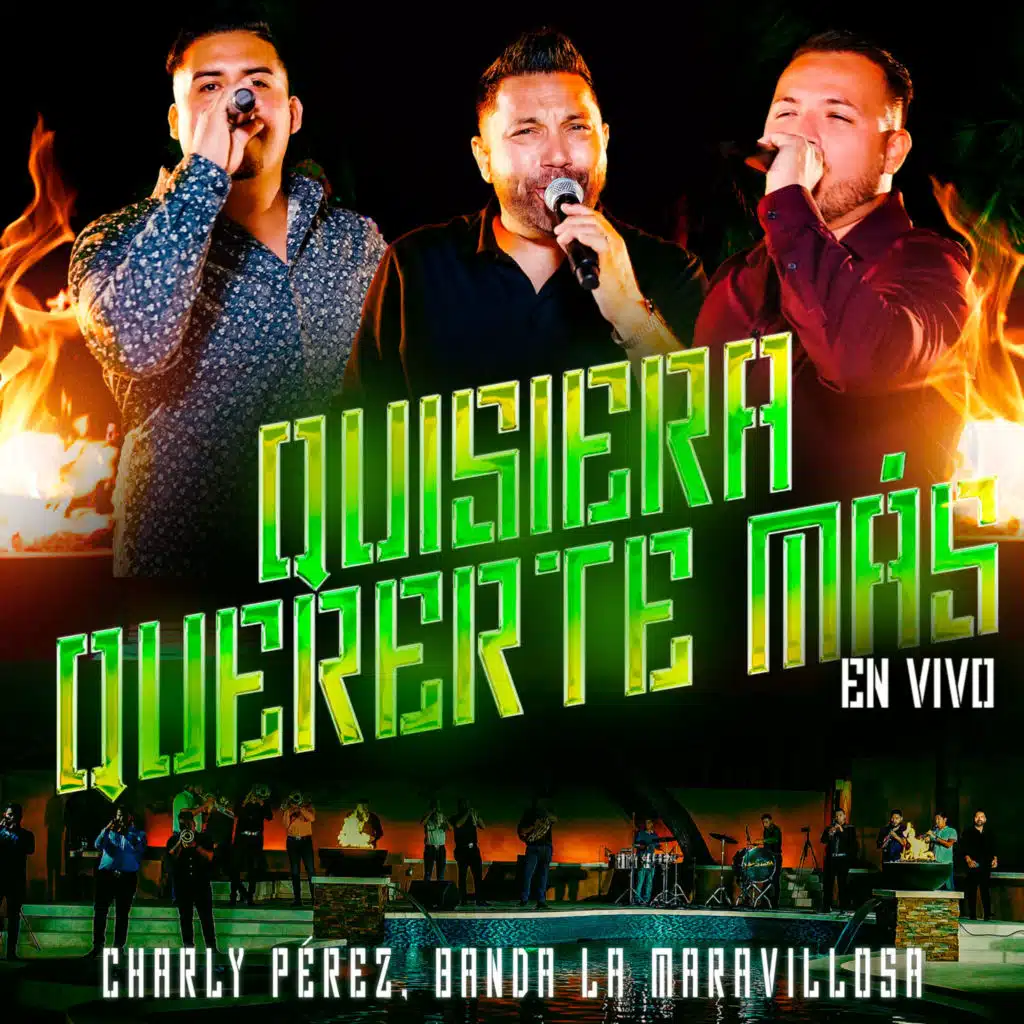 Quisiera Quererte Más (En Vivo)