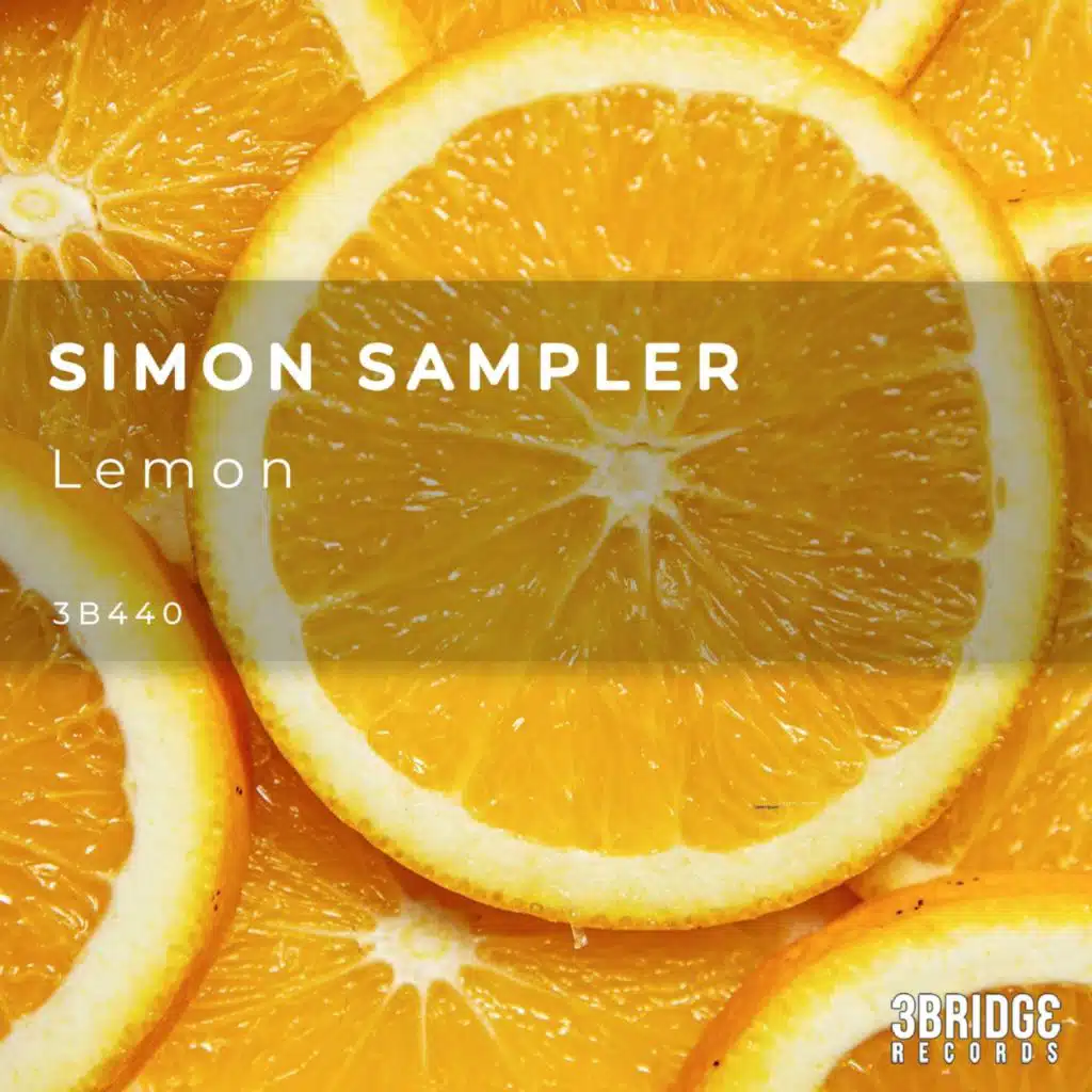 Simon Sampler