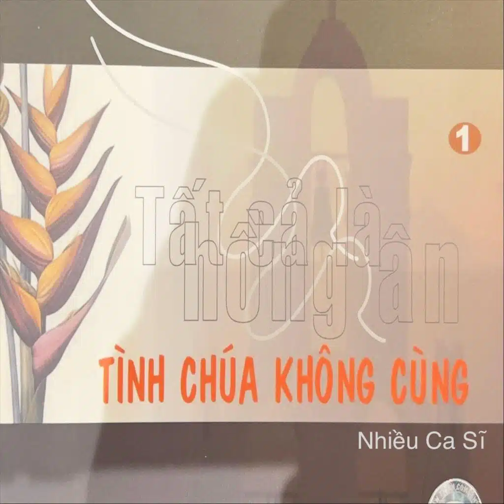 LOI VONG TINH YEU