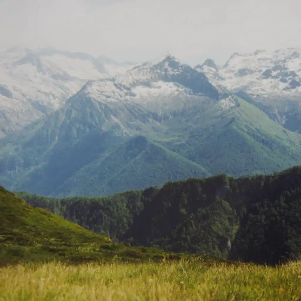 Himalayan Beach Ensemble