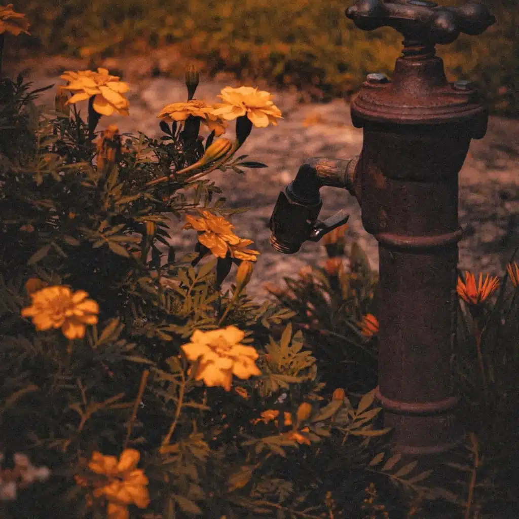 Not Your Traditional Grace