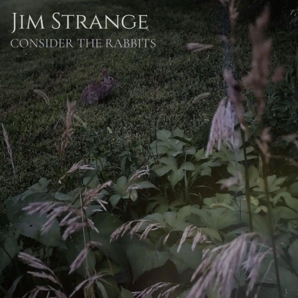 Jim Strange