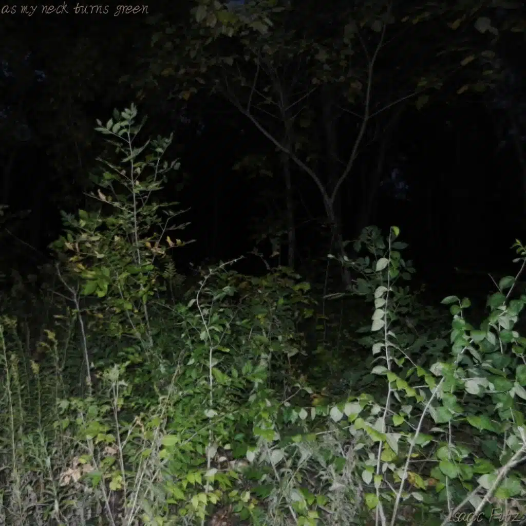 as my neck turns green