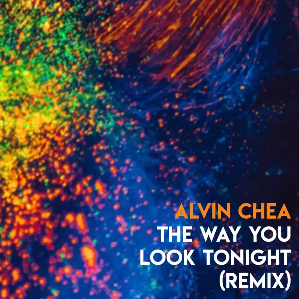 The Way You Look Tonight (Remix)