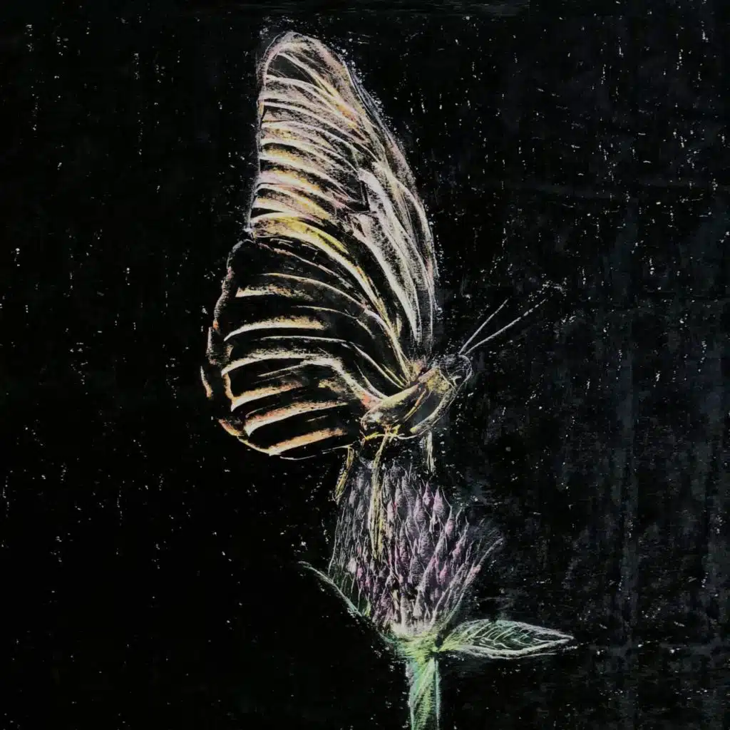 حساسين و تفاصيل