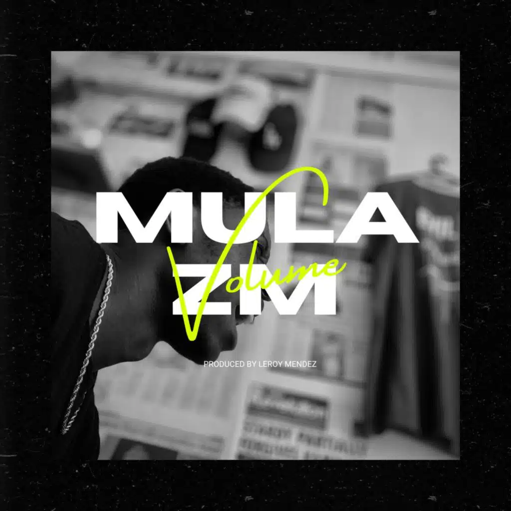 Mula ZM