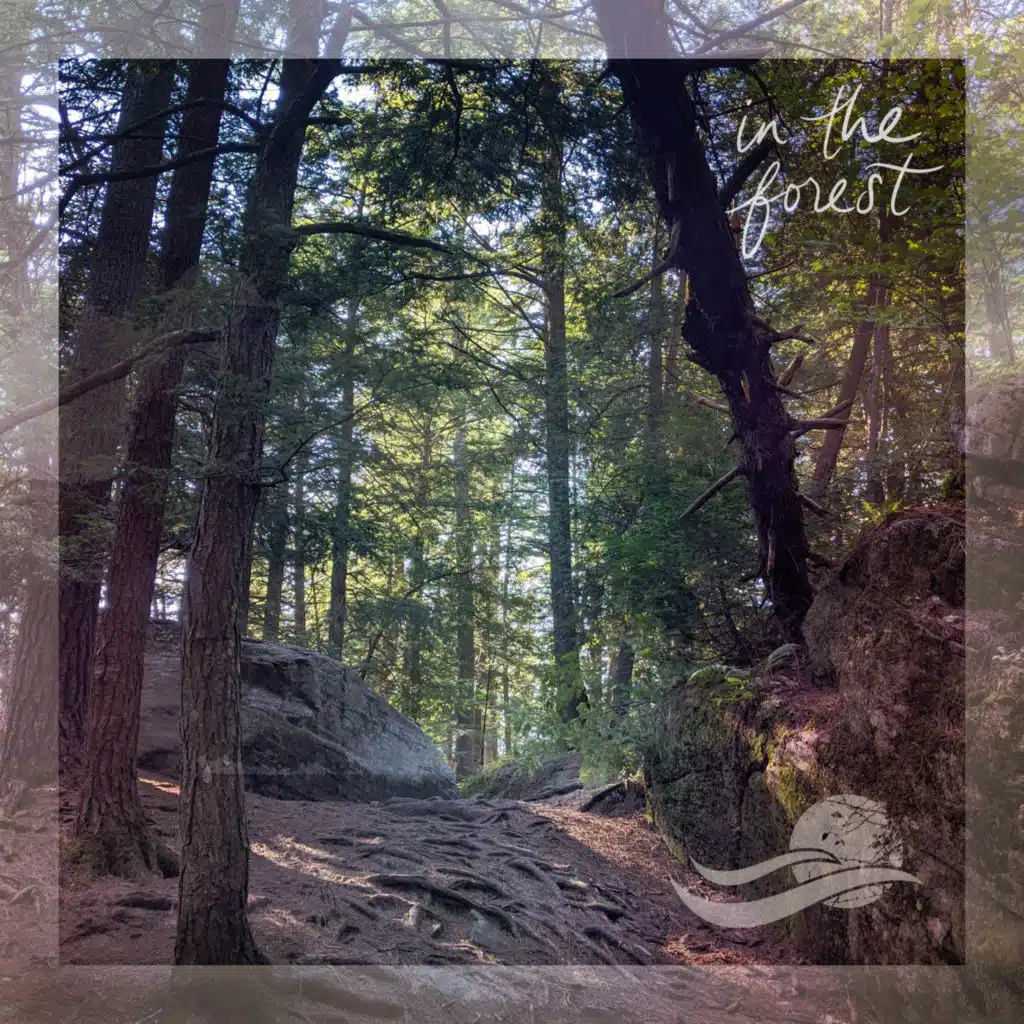 Whispering Landscapes