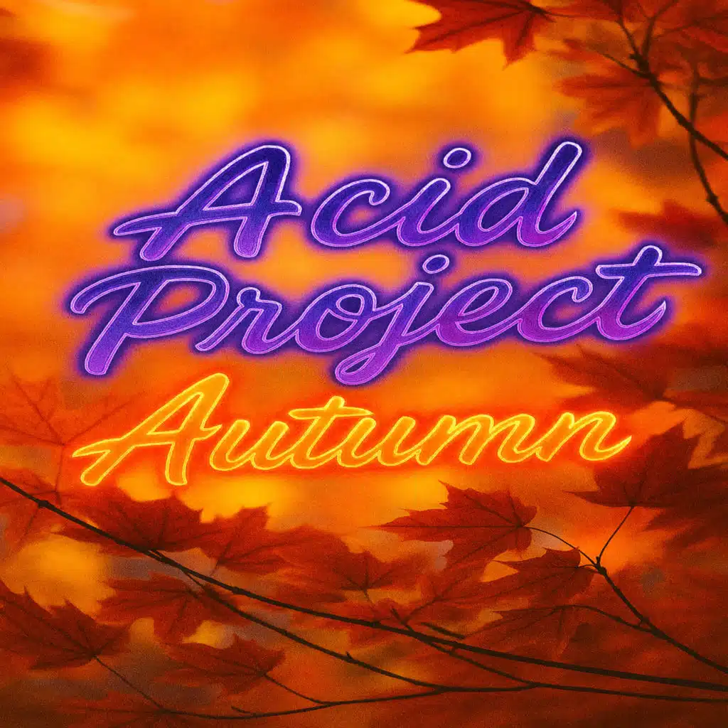 Acid Project
