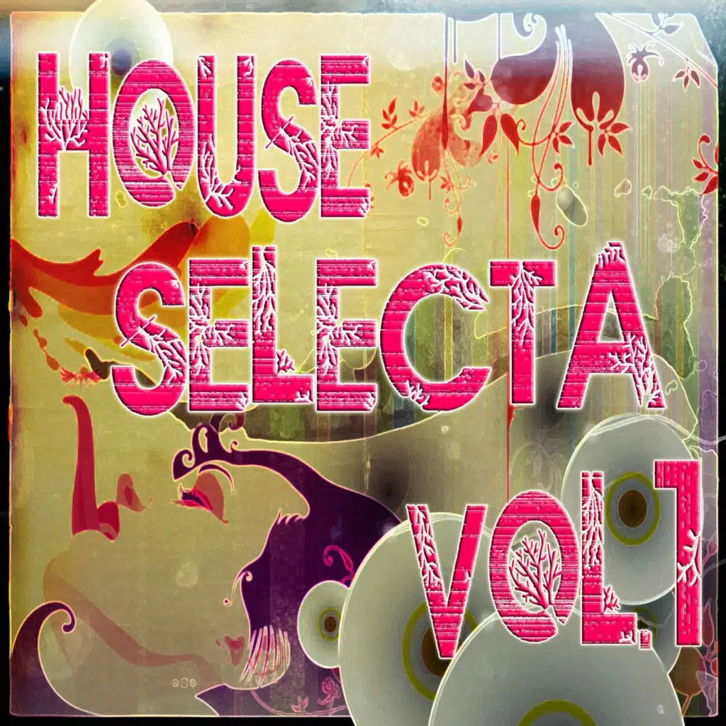 House Selecta, Vol. 1