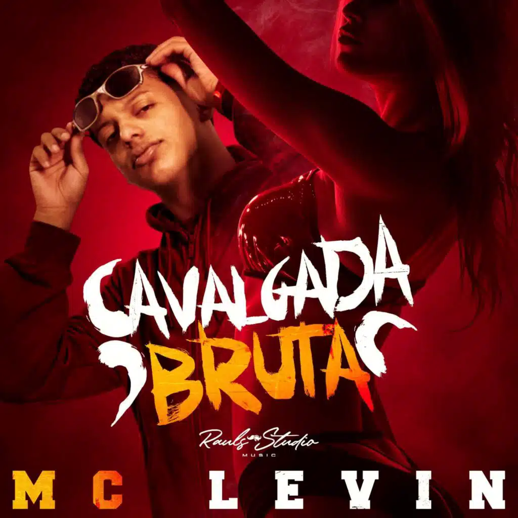MC Levin