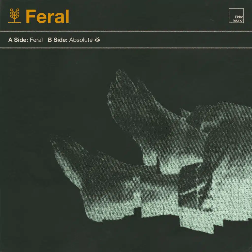 Feral