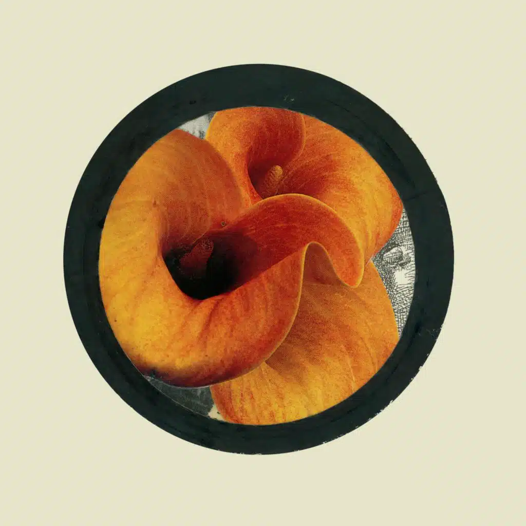 Yahweh and the Wife of My Youth