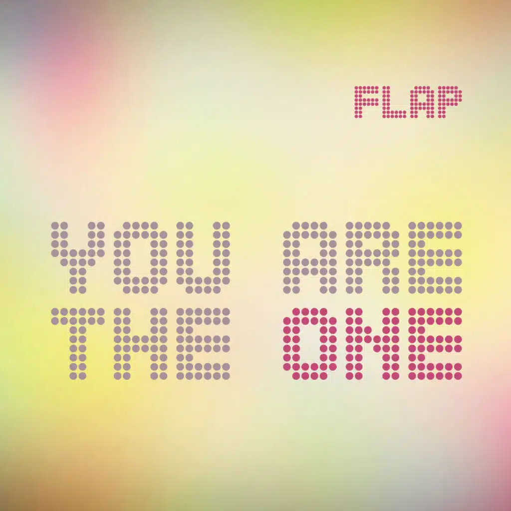 You Are the One (Radio)