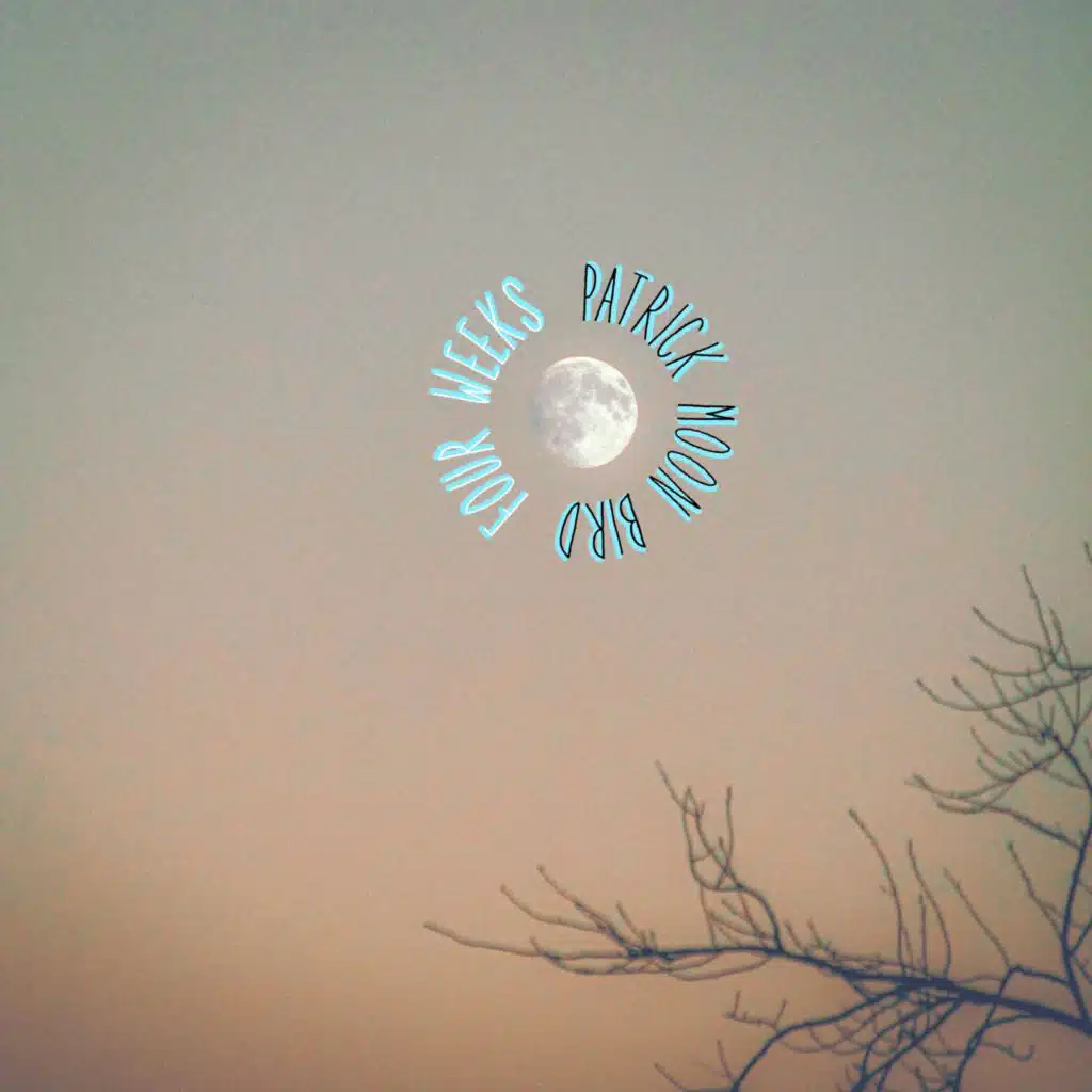 Patrick Moon Bird