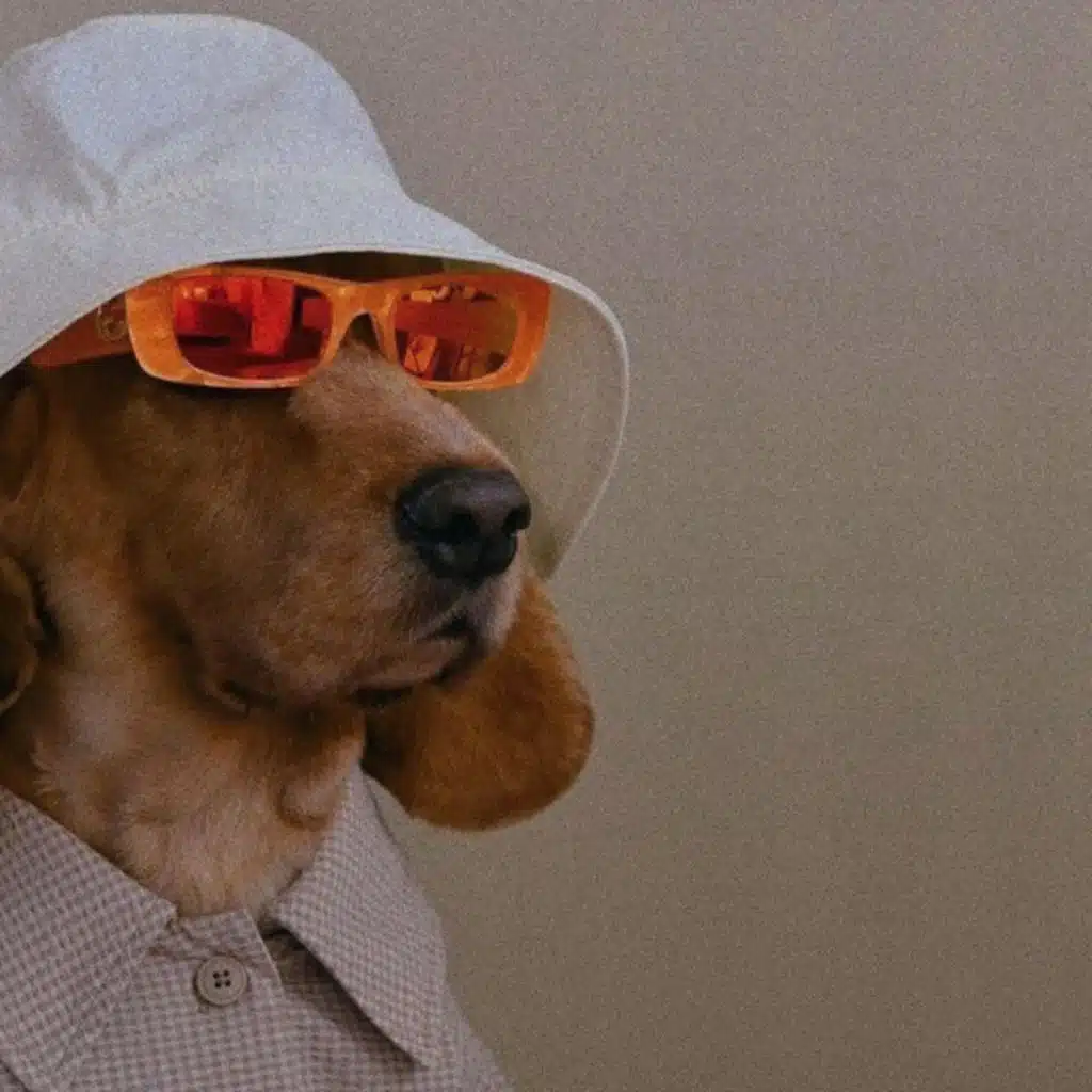 when you wanna chill