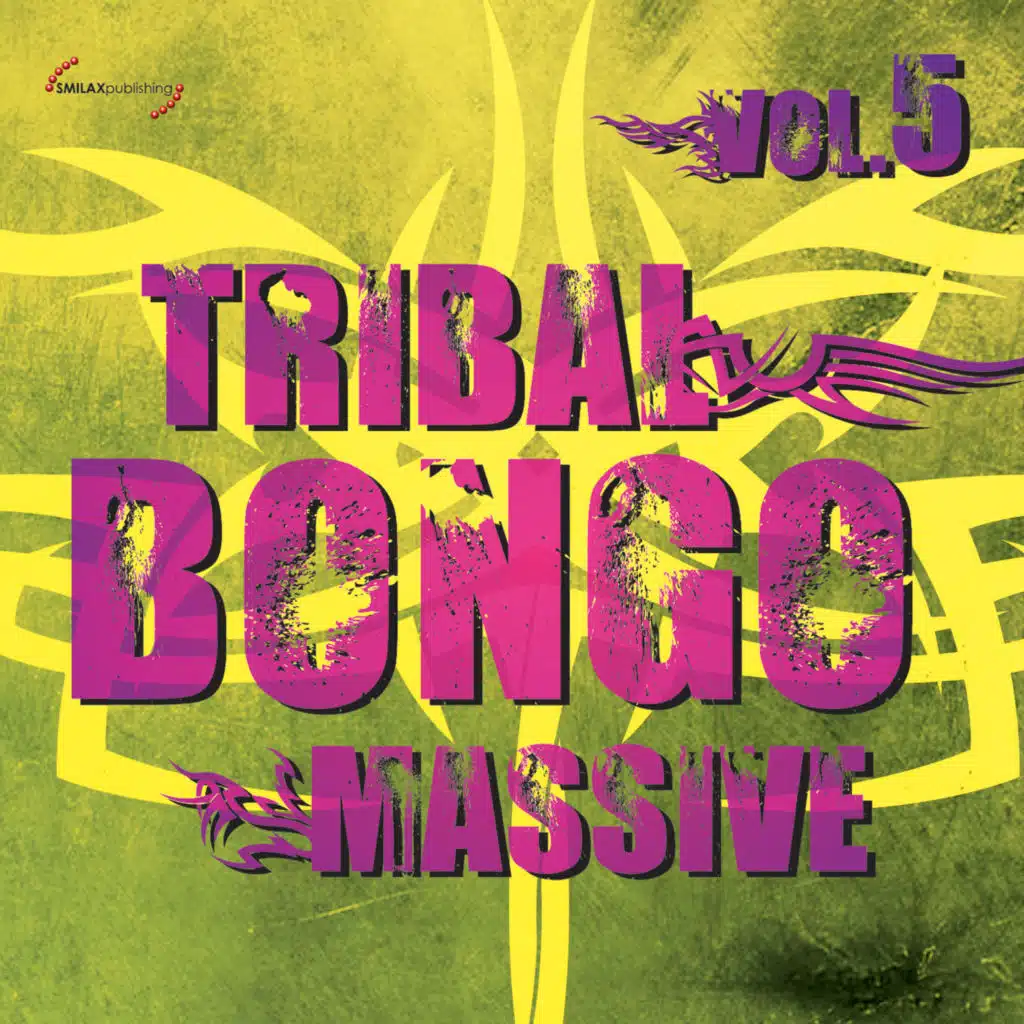 Tribal Bongo Massive, Vol. 5