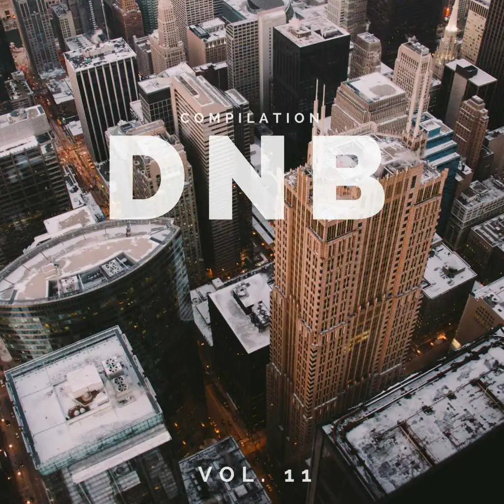 DnB Music Compilation, Vol. 11