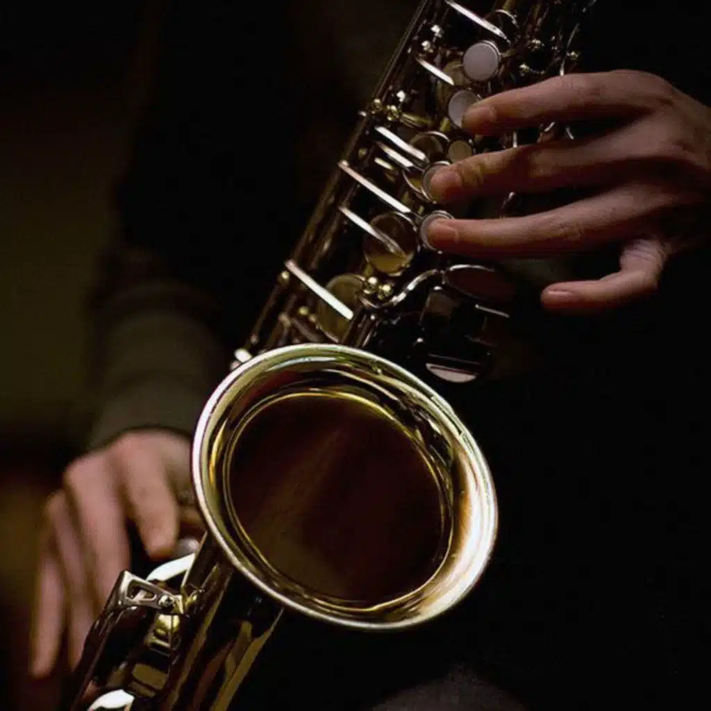 Nu Braz, NYC Jazz Quartett & The Limp Twins