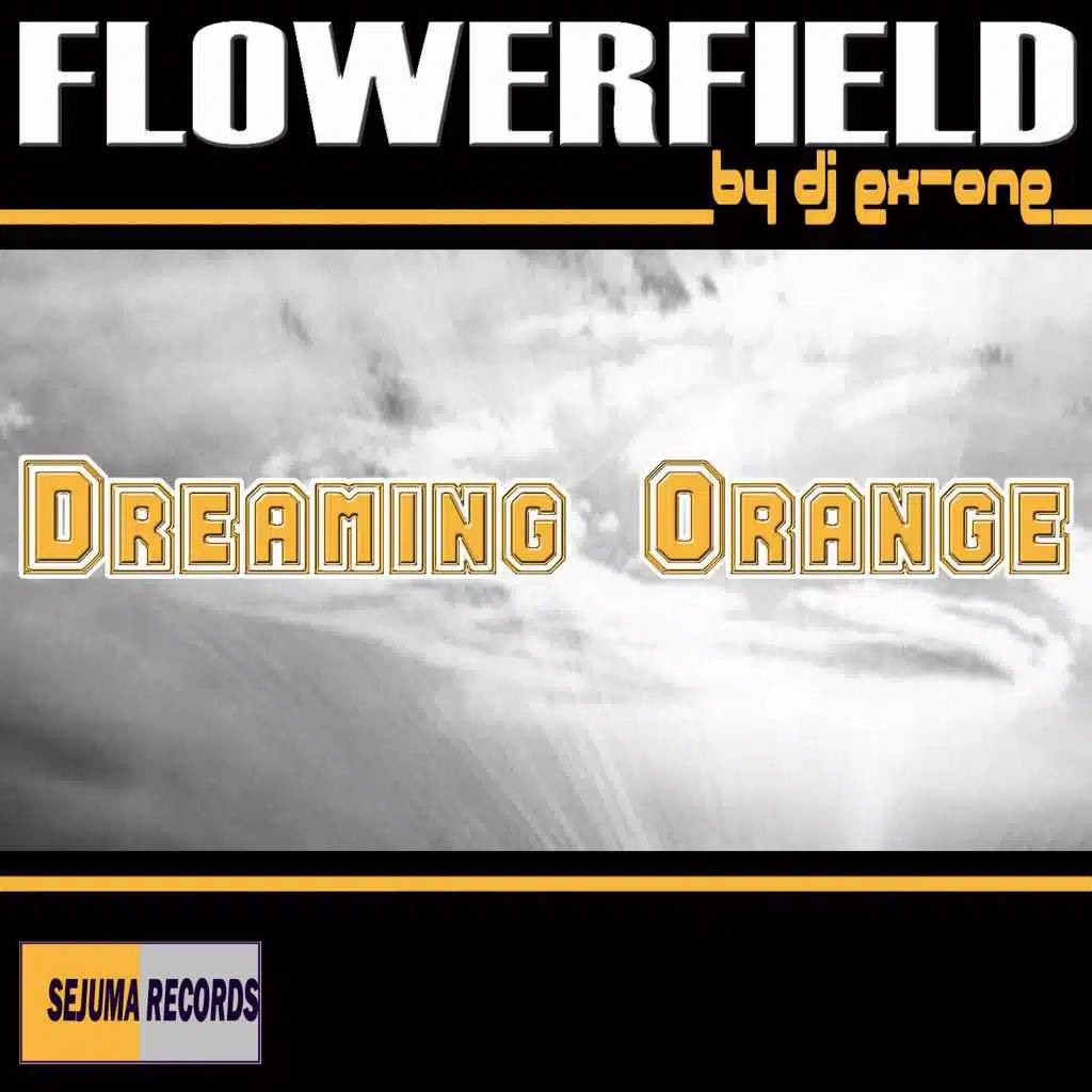 Flowerfield by DJ-Ex-One