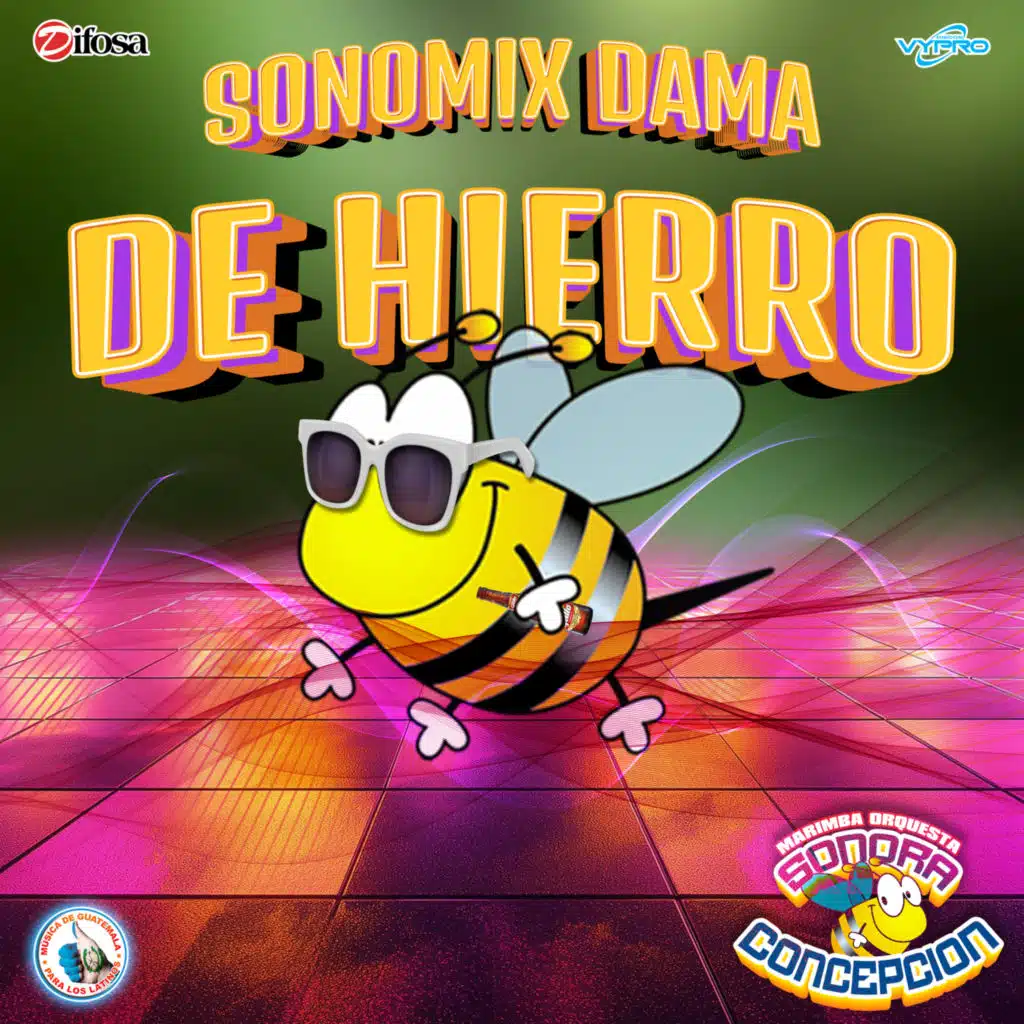 Marimba Orquesta Sonora Concepción