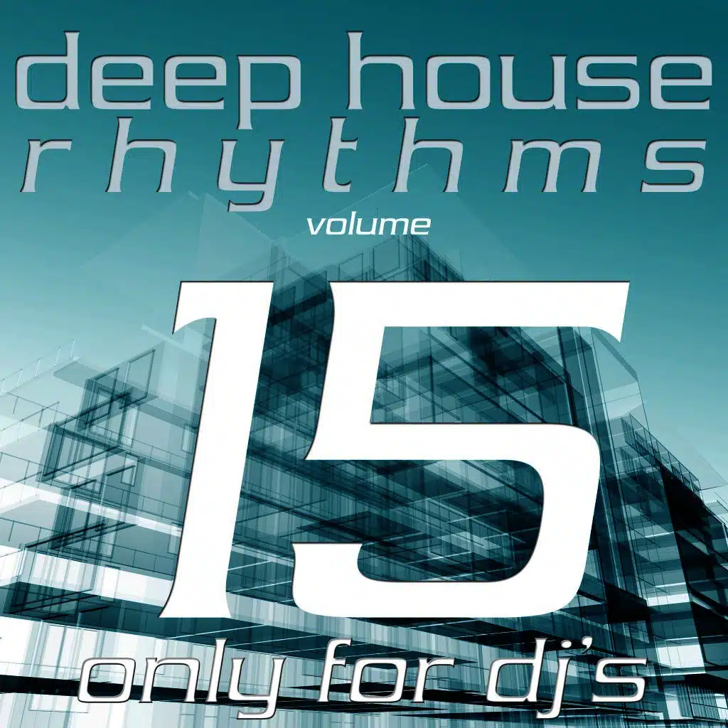 Deep House Rhythms, Vol. 15
