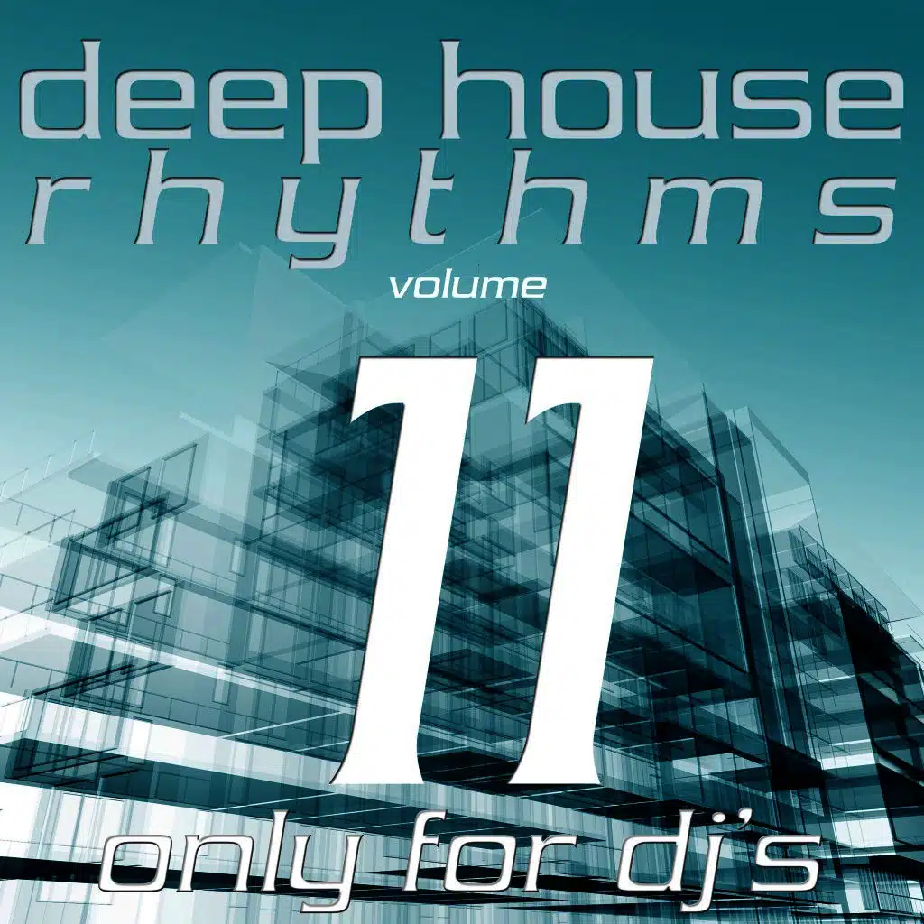 Deep House Rhythms, Vol. 11