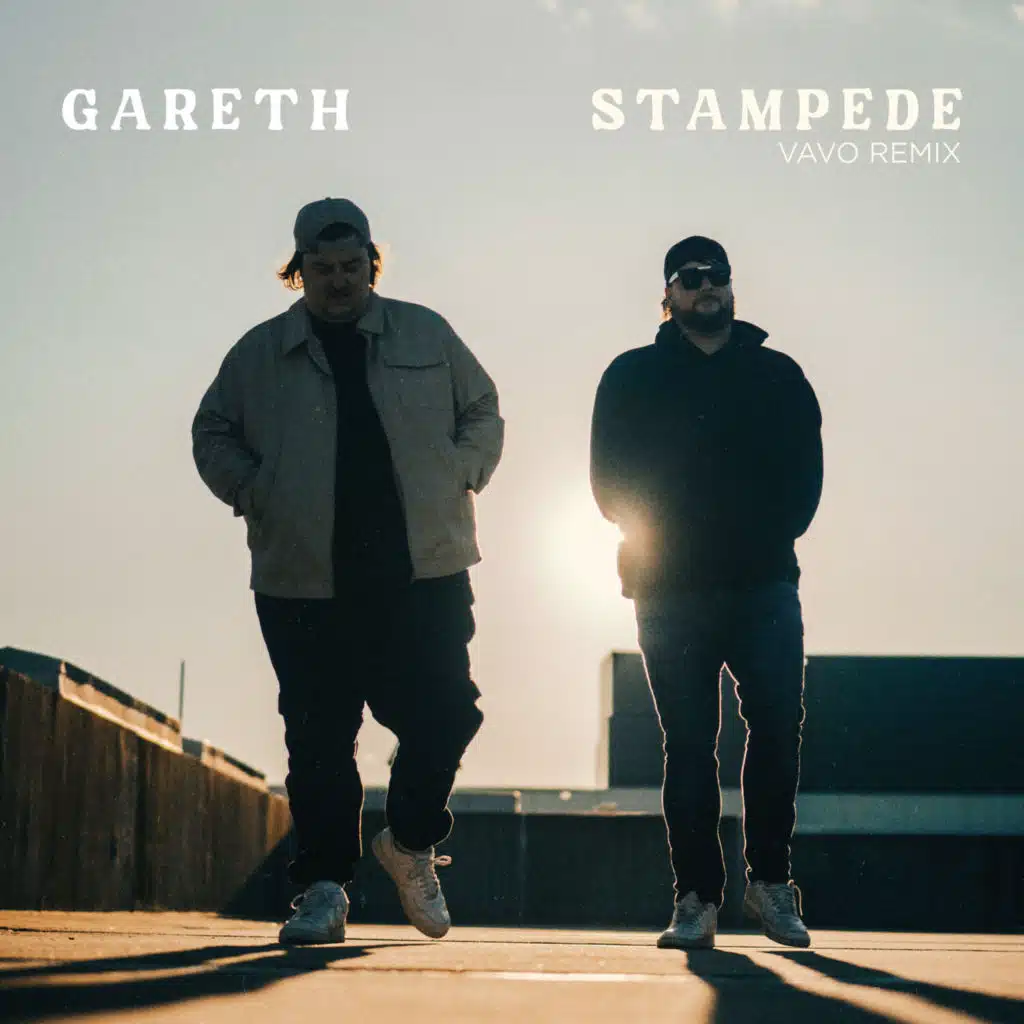 Stampede (VAVO Remix)