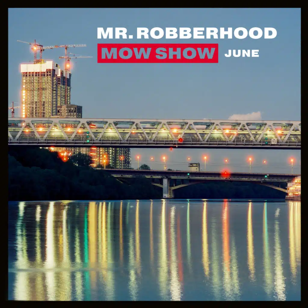 Mr. Robberhood