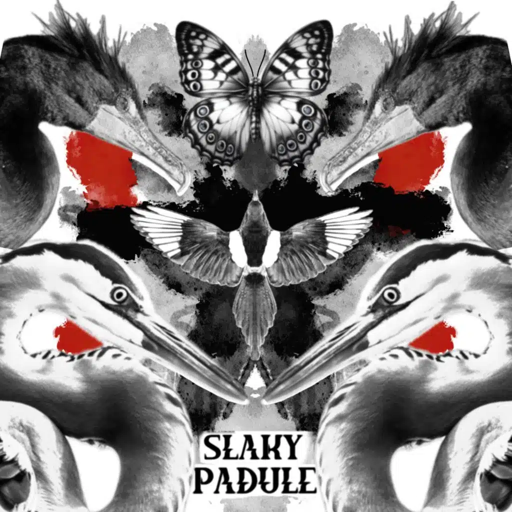 Slaky