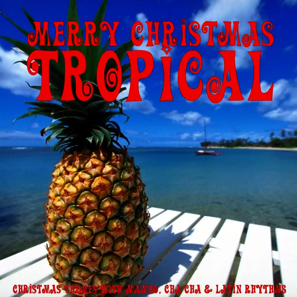 Merry Christmas Tropical