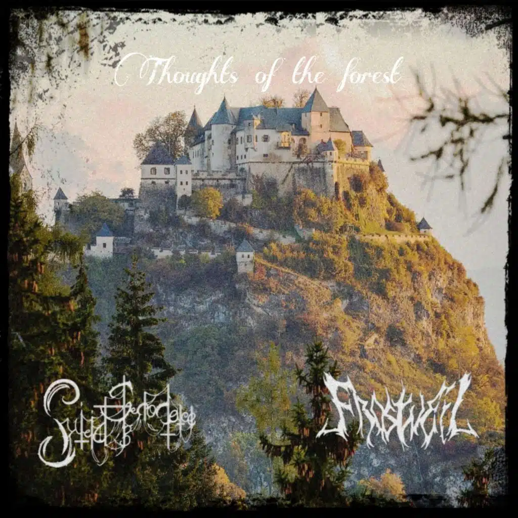 Thoughts of the forest