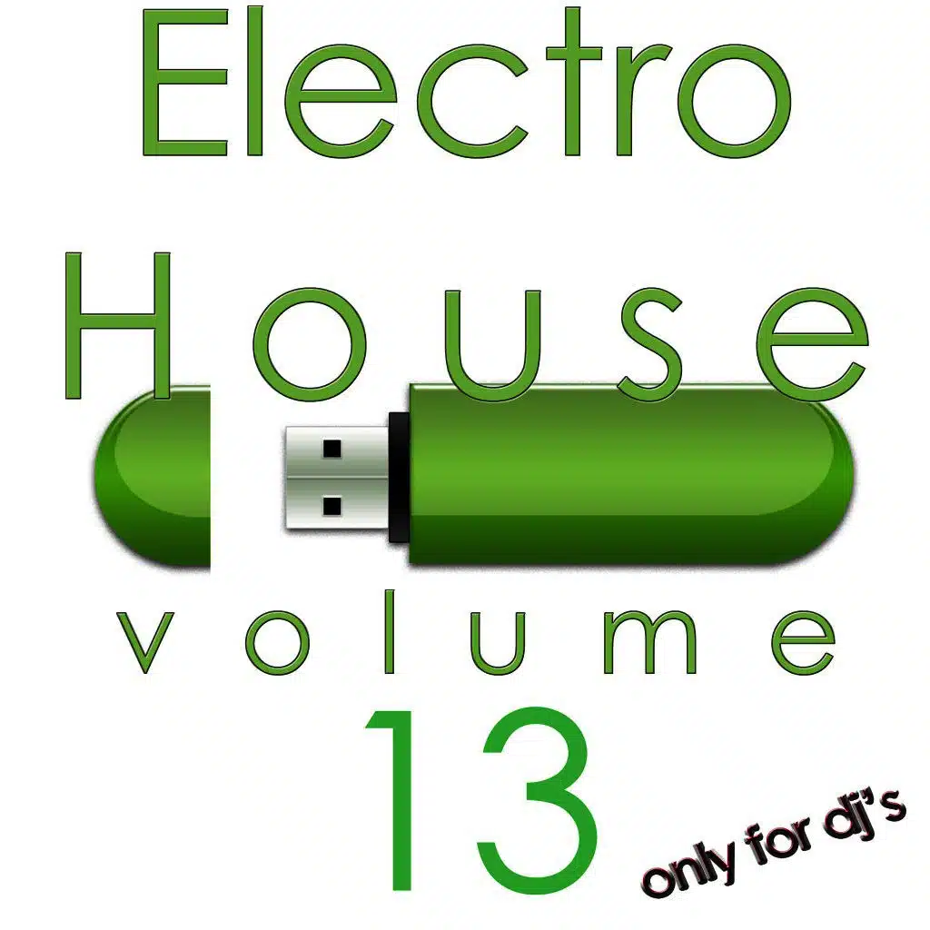 Electro House, Vol. 13