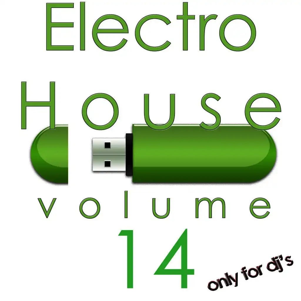 Electro House, Vol. 14