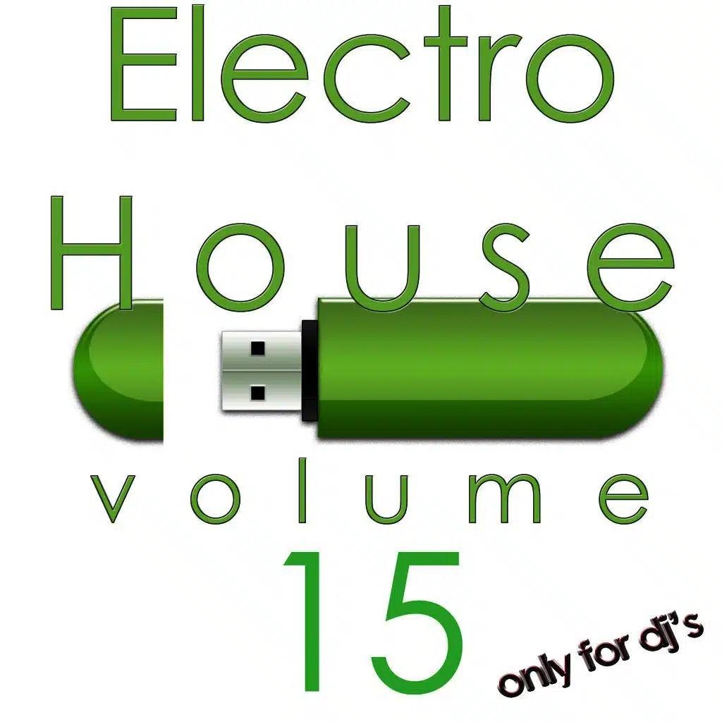 Electro House, Vol. 15