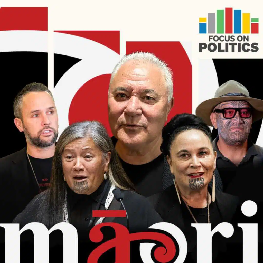 From reset to regret: Te Pāti Māori at war