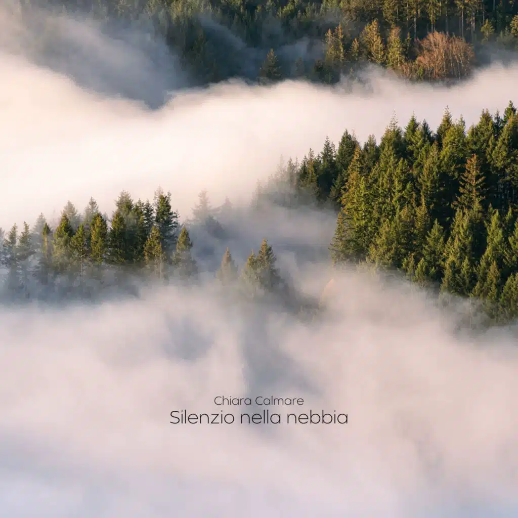 Silenzio nella nebbia