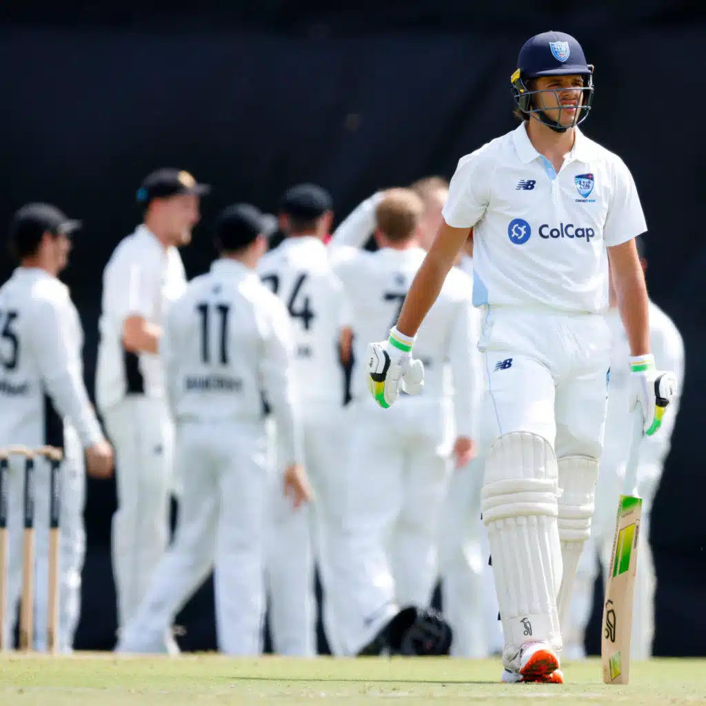 The great Australian bat-off is on!