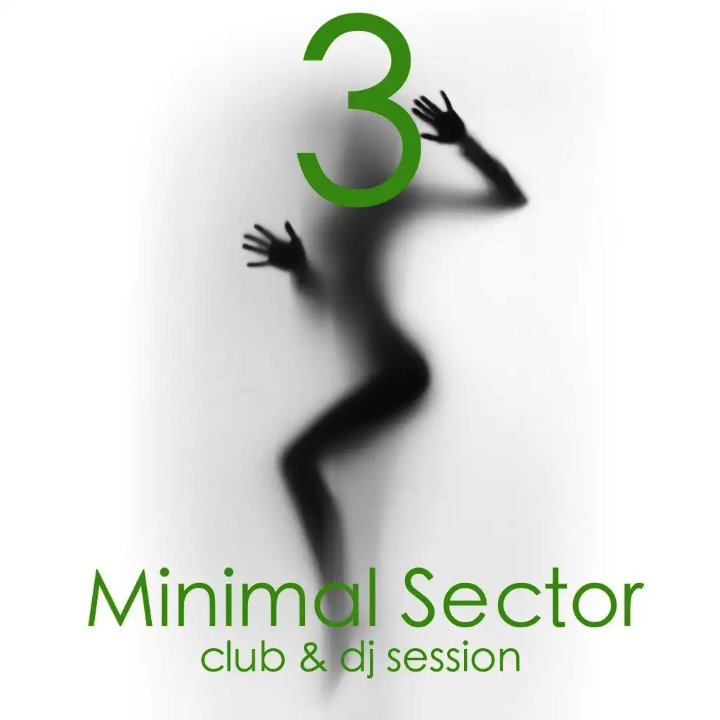 Minimal Sector, Vol. 3