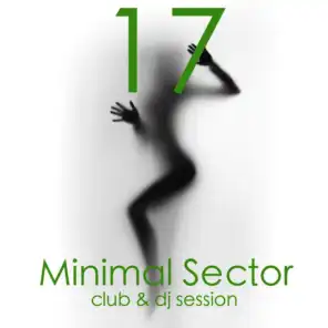 Minimal Sector, Vol. 17