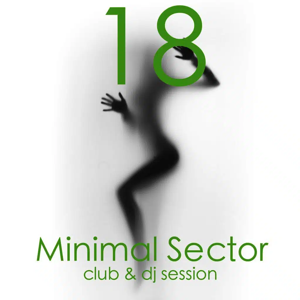Minimal Sector, Vol. 18